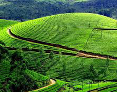 RAMNAD TRACK - Cab Booking Ramanathapuram