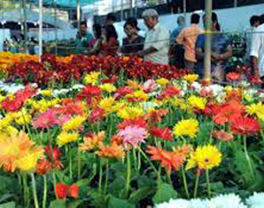 RAMNAD TRACK - Cab Booking Ramanathapuram