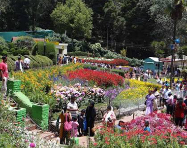 RAMNAD TRACK - Cab Booking Ramanathapuram